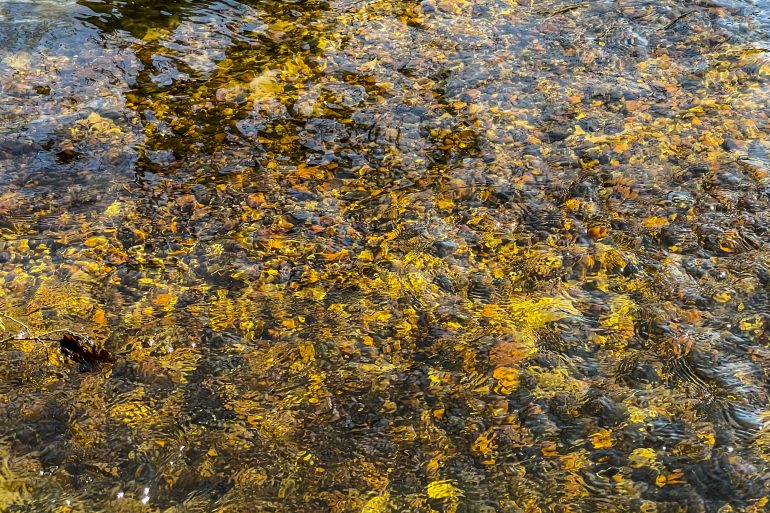 8 Blick in die Seeve